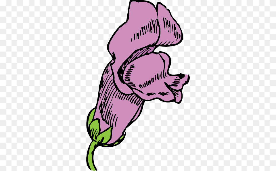 Snapdragon Clip Art Vector, Flower, Plant, Purple, Baby Free Png Download