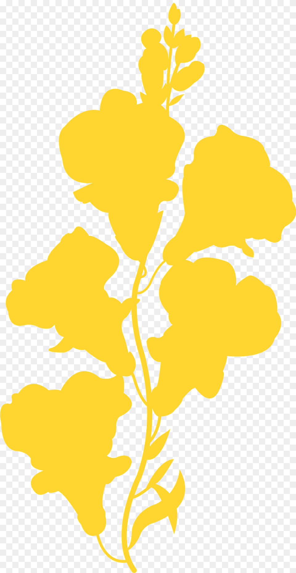 Snapdragon Silhouette, Flower, Plant, Petal, Person Png