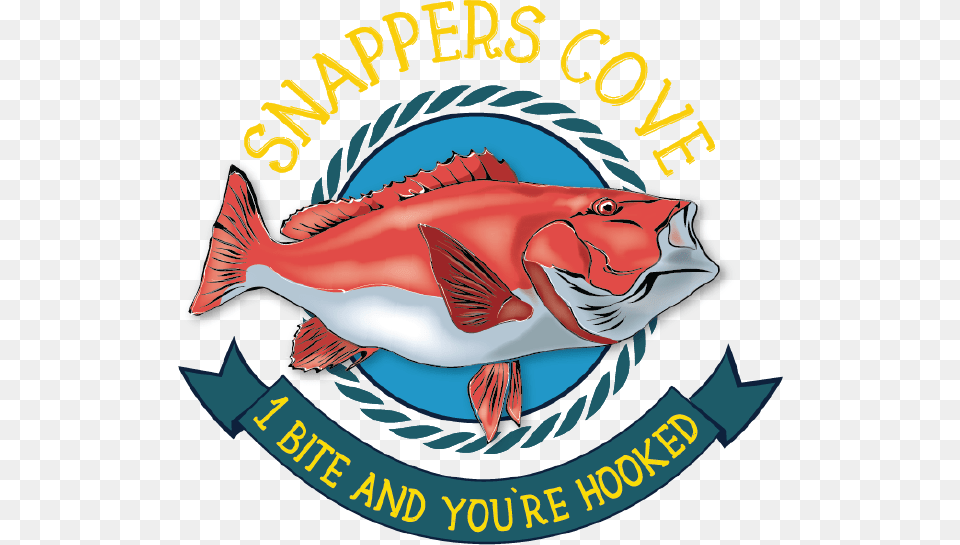 Snapper Cove Ormond, Animal, Fish, Sea Life, Logo Png Image