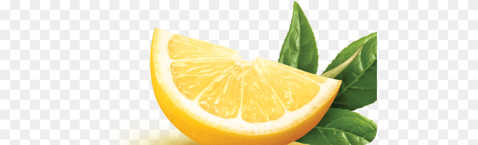 Snapple Lemon Tea Lemon Tea, Citrus Fruit, Food, Fruit, Plant Png