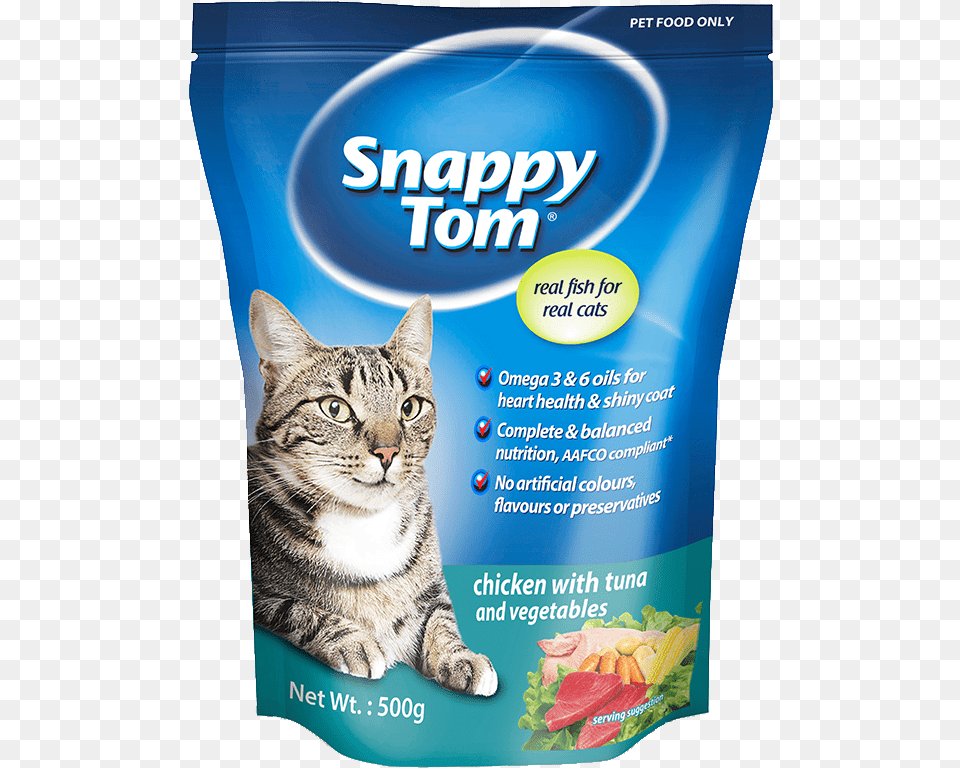 Snappy Tom Ocean Fish, Animal, Cat, Mammal, Pet Png