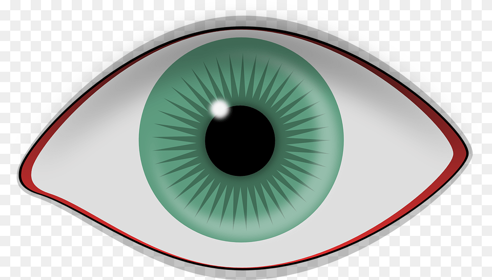 Sndrome Del Ojo Seco Optometria, Accessories, Gemstone, Jade, Jewelry Free Png