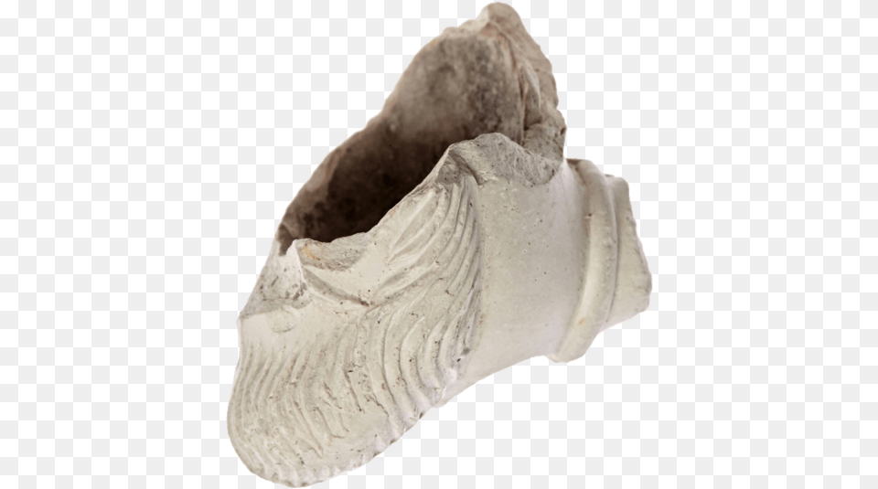 Sneakers, Animal, Clam, Food, Invertebrate Free Transparent Png