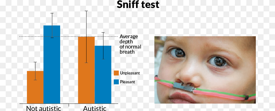 Sniff Test, Face, Head, Person, Brush Png