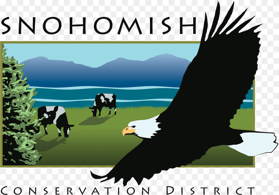 Snohomish Conservation District Logo Snohomish Conservation District, Eagle, Animal, Bird, Cattle Free Transparent Png