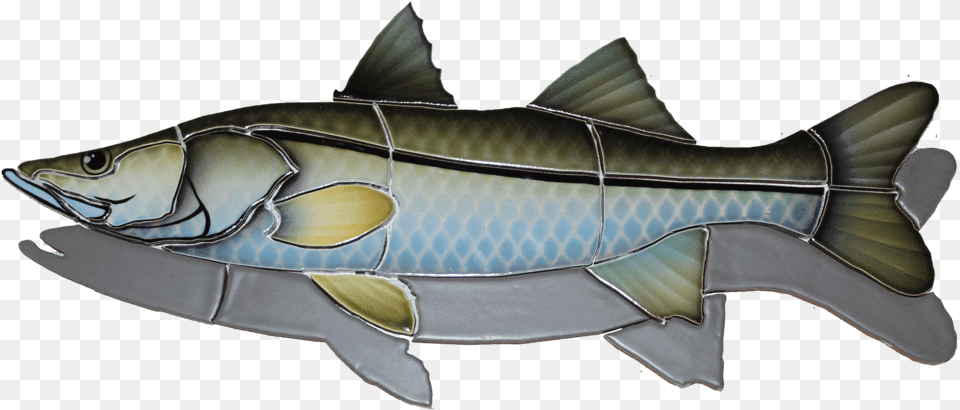 Snook Fish, Animal, Food, Mullet Fish, Sea Life Free Transparent Png