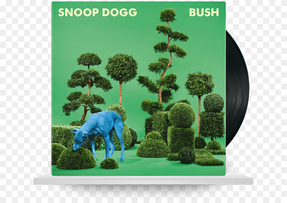 Snoop Dogg Bush Download Snoop Dogg Bush Album Cover, Tree, Plant, Green, Potted Plant Png
