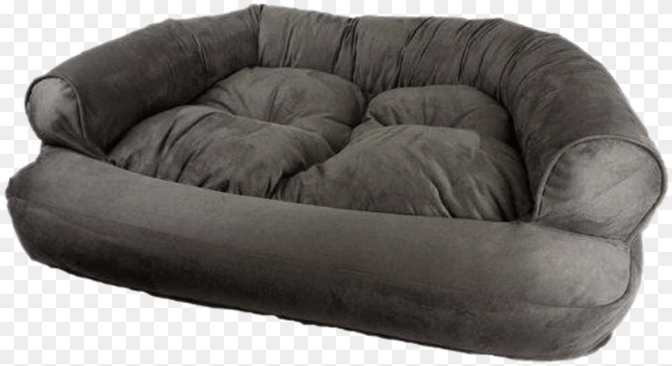 Snoozer Pet Products Snoozer Luxury Microfiber And Polyester Overstuffed, Couch, Cushion, Furniture, Home Decor Png