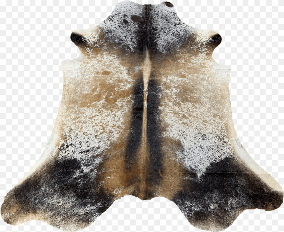 Snout, Animal, Canine, Dog, Fashion Png