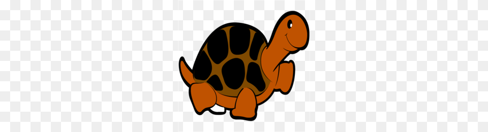 Snout Clipart, Animal, Reptile, Sea Life, Tortoise Free Transparent Png