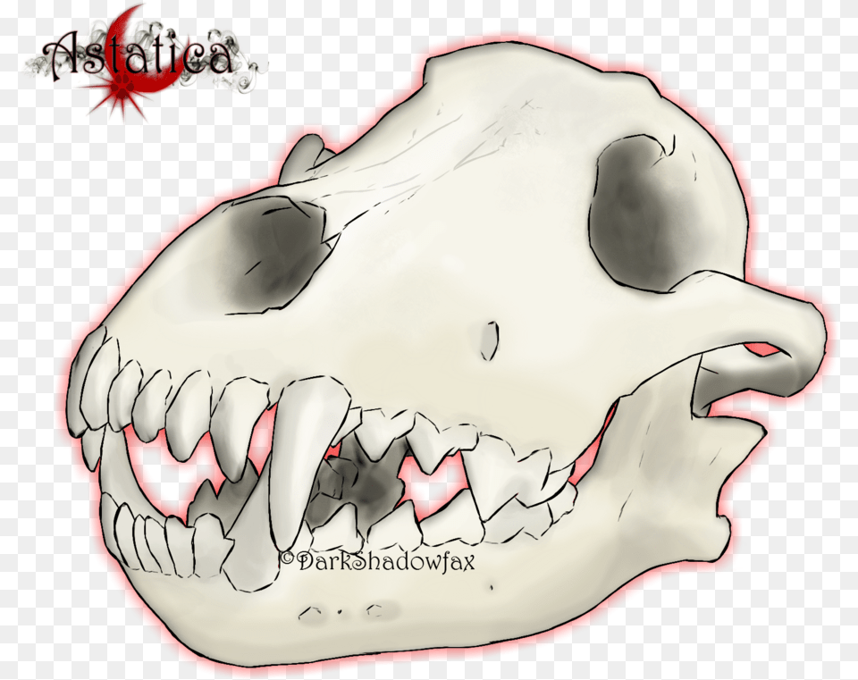 Snout Jaw Mouth Skull Cartoon Giant Skull Cartoon, Body Part, Person, Teeth Free Png