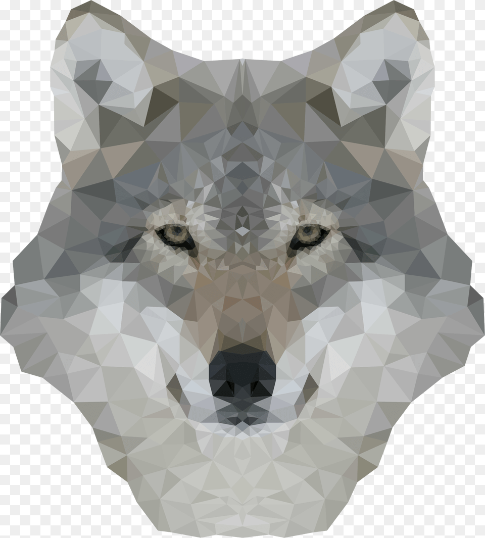 Snoutmammalhead Glorious Wolf, Adult, Wedding, Person, Mammal Png Image