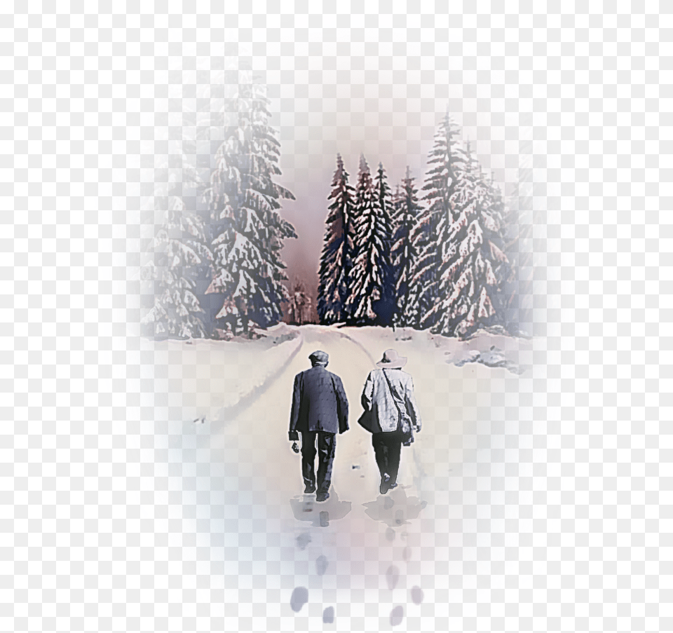Snow, Plant, Clothing, Coat, Tree Free Png Download