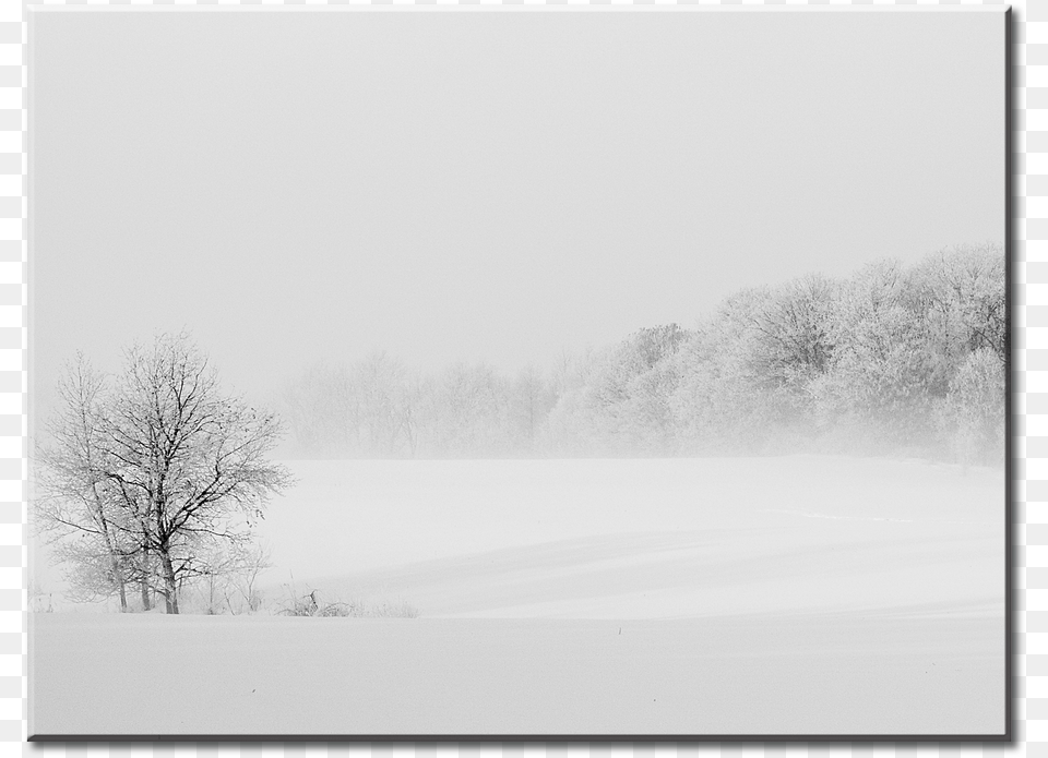 Snow, Blizzard, Nature, Outdoors, Storm Free Transparent Png