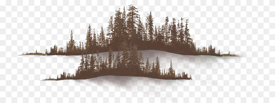 Snow, Tree, Plant, Outdoors, Nature Free Png