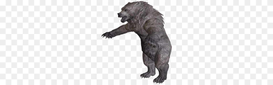 Snow Bear, Animal, Mammal, Wildlife, Art Free Transparent Png