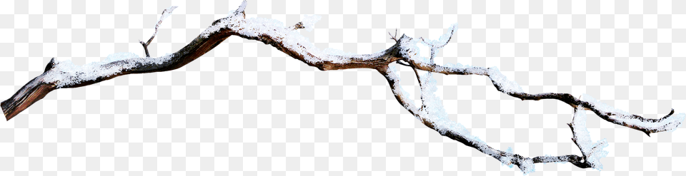 Snow Branch Ice, Nature, Outdoors, Weather Free Png Download