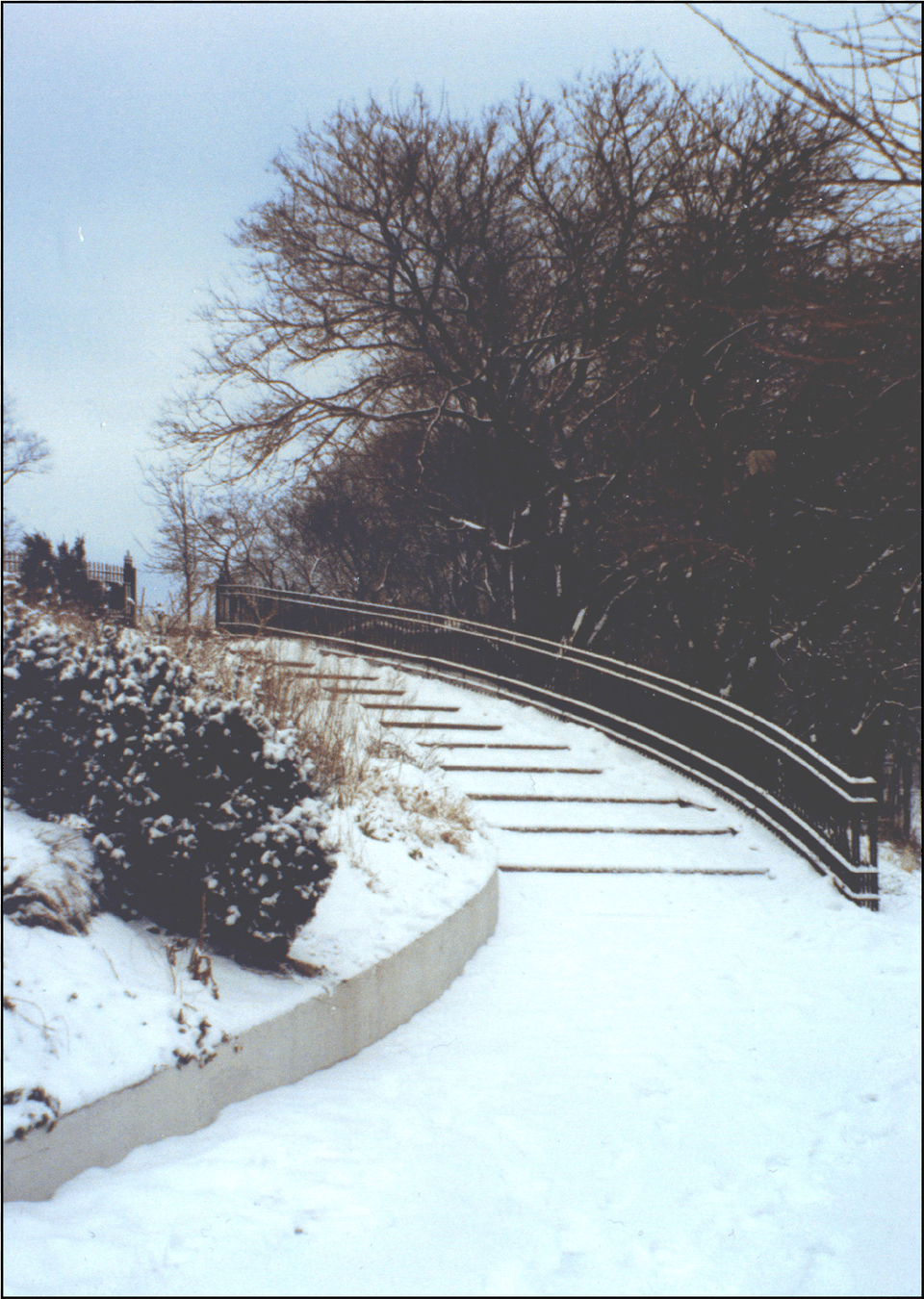 Snow Bridge Snow, Nature, Outdoors, Scenery, Plant Free Transparent Png