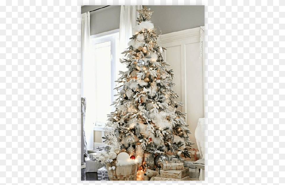 Snow Christmas Tree Ideas, Christmas Decorations, Festival, Christmas Tree, Teddy Bear Png Image