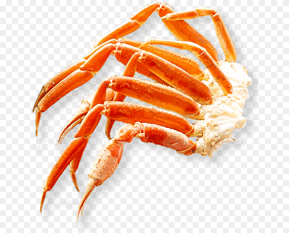 Snow Crab Freshwater Crab, Food, Seafood, Animal, Invertebrate Free Transparent Png