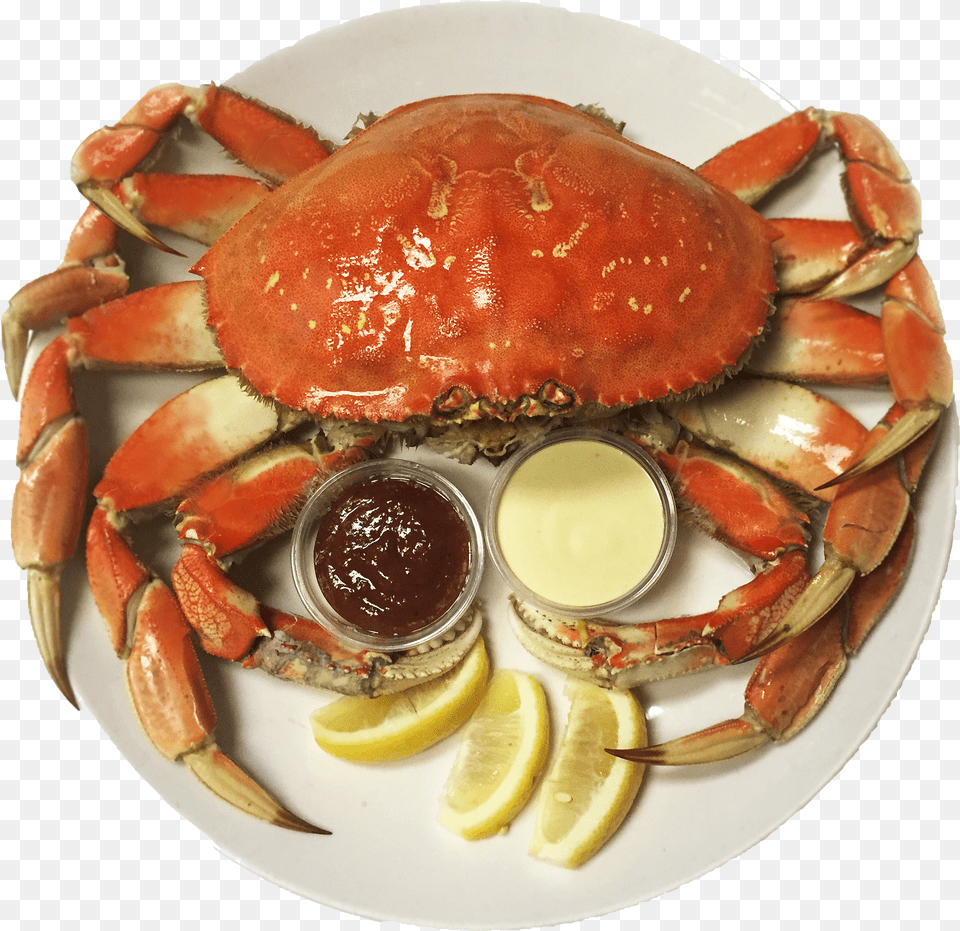Snow Crab Vs Dungeness Crab Free Png Download