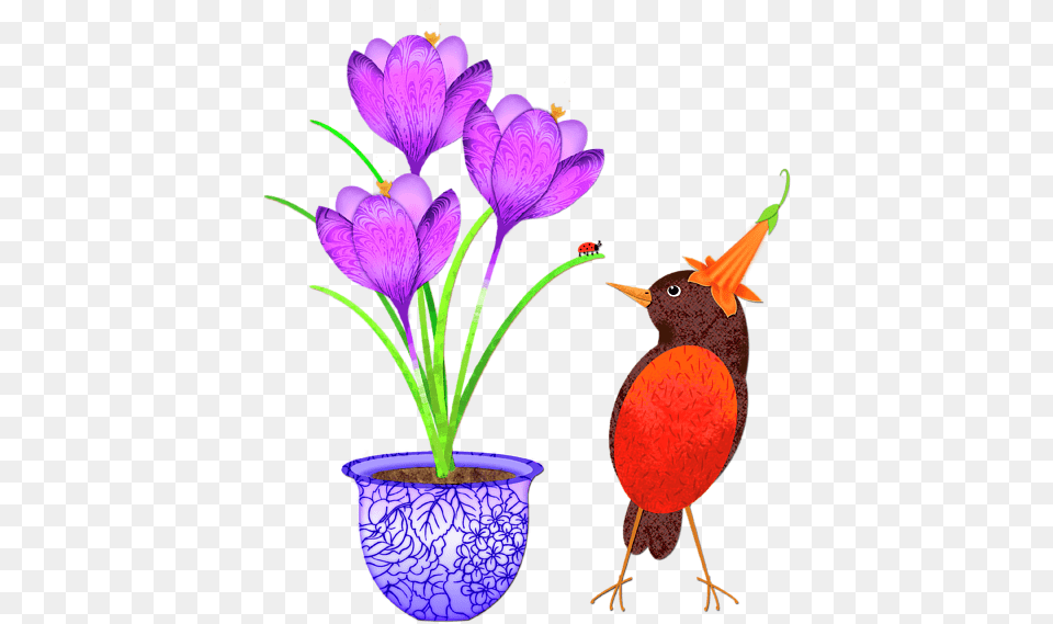 Snow Crocus, Flower, Plant, Purple, Animal Png