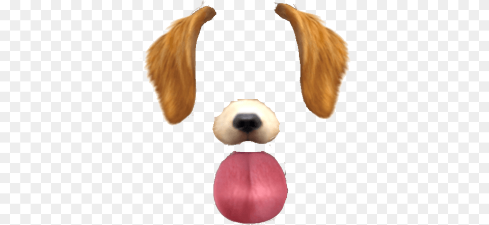 Snow Dog Filter, Body Part, Person, Mouth, Animal Free Png Download