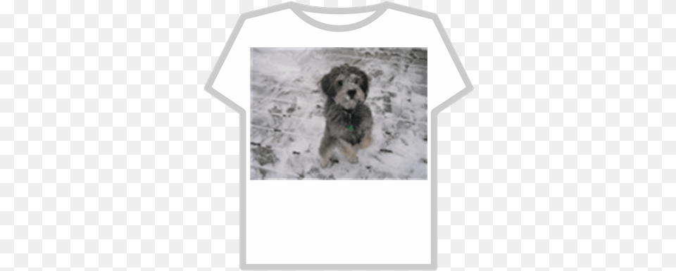 Snow Doggif Roblox Free Supreme T Shirt Roblox, Animal, Canine, Clothing, Dog Png Image