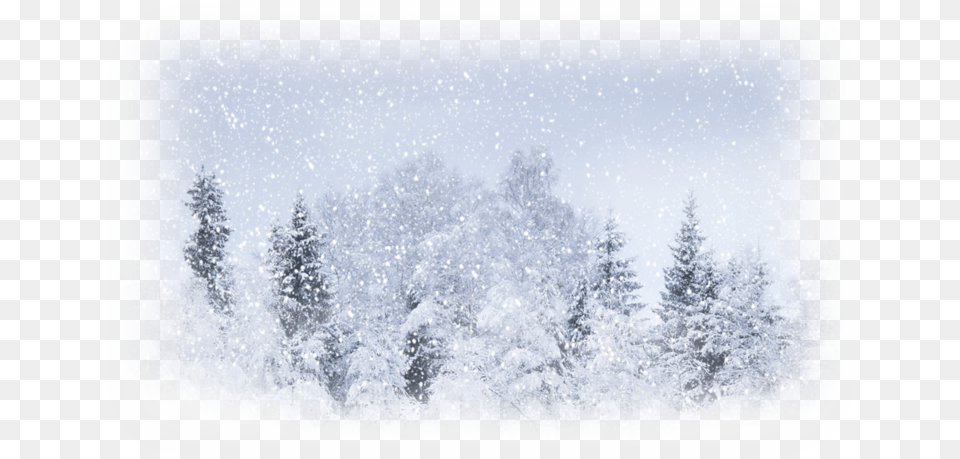 Snow Forest Facebook Cover, Nature, Outdoors, Winter, Weather Free Png Download