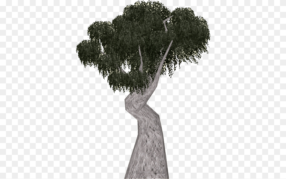 Snow Gum Tree, Plant, Potted Plant, Tree Trunk, Art Free Transparent Png