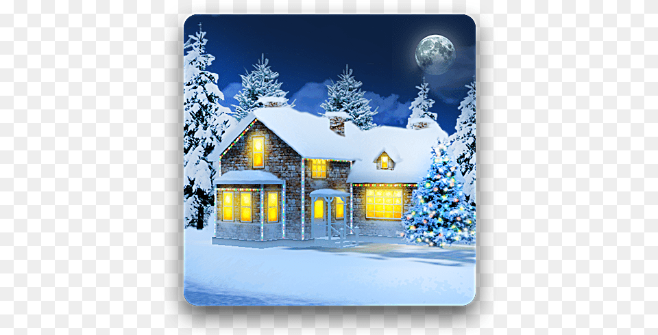 Snow Hd Deluxe Edition Apps On Google Play Snow Hd Edition Pro Donolad, Tree, Plant, Festival, Christmas Decorations Png Image