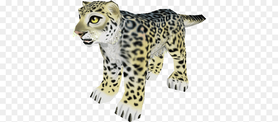 Snow Leopard, Animal, Mammal, Panther, Wildlife Free Png Download