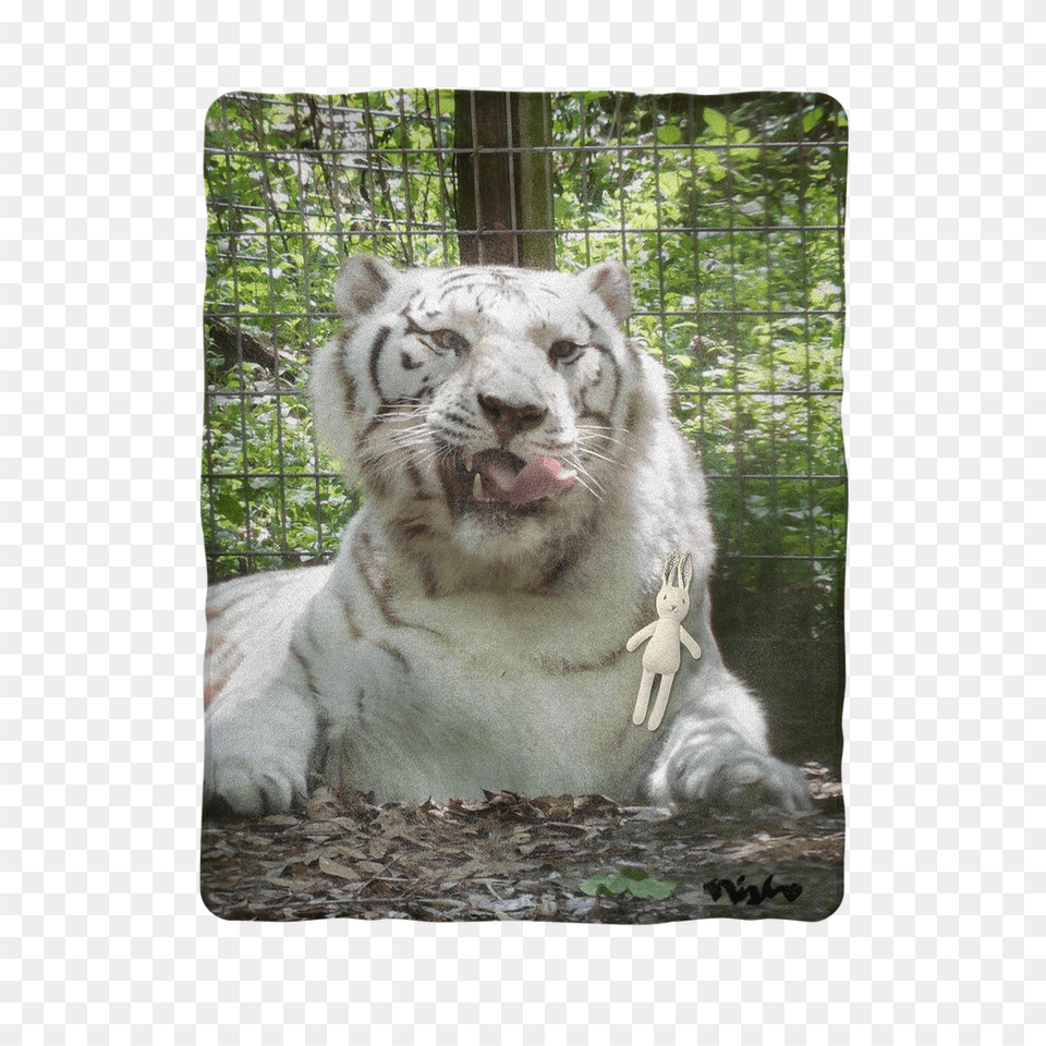 Snow Leopard, Animal, Mammal, Tiger, Wildlife Png