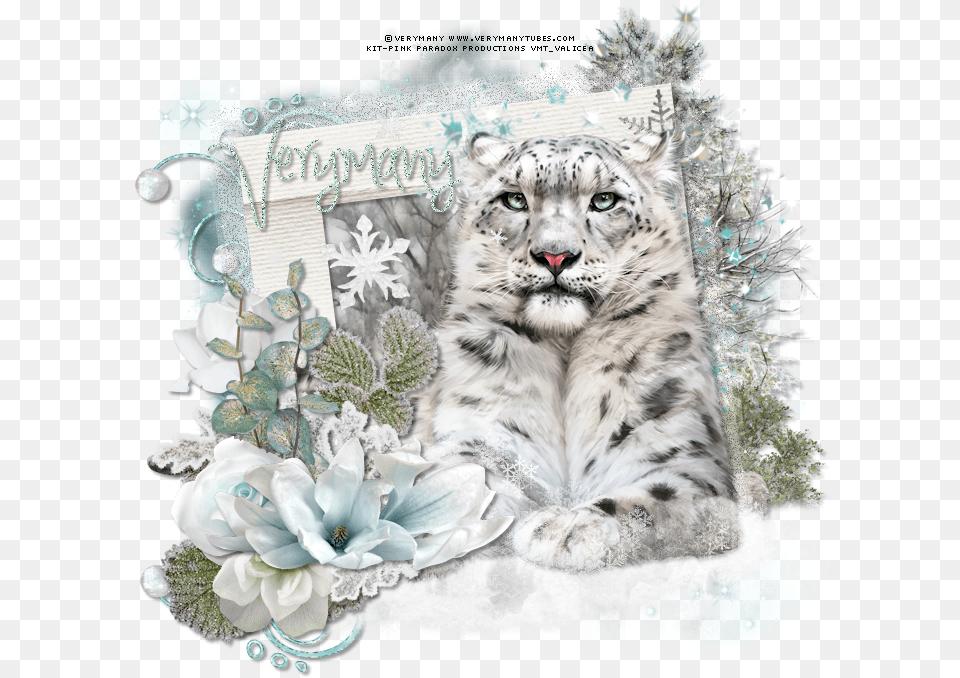 Snow Leopard By Verymany Found Here, Animal, Mammal, Panther, Wildlife Free Transparent Png