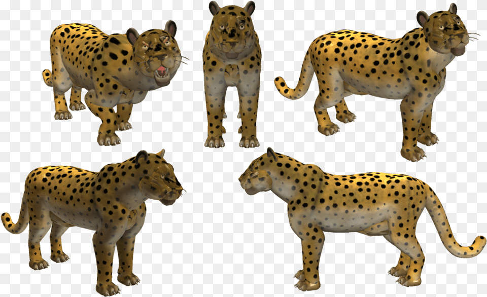 Snow Leopard Clipart Amur Leopard Amur Leopard, Animal, Cheetah, Mammal, Wildlife Png Image