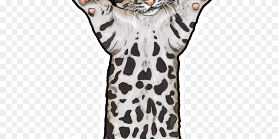 Snow Leopard Clipart Clip Art, Animal, Cheetah, Mammal, Wildlife Free Transparent Png