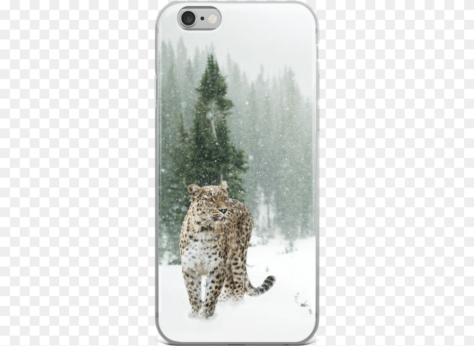 Snow Leopard Iphone Case Never Trust Your Fears They Don T Know Your Strength, Animal, Cheetah, Mammal, Wildlife Free Png