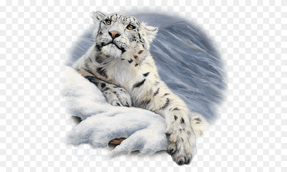 Snow Leopard Lucie Bilodeau Transparent Transparent Snow Leopard, Animal, Mammal, Panther, Wildlife Free Png Download