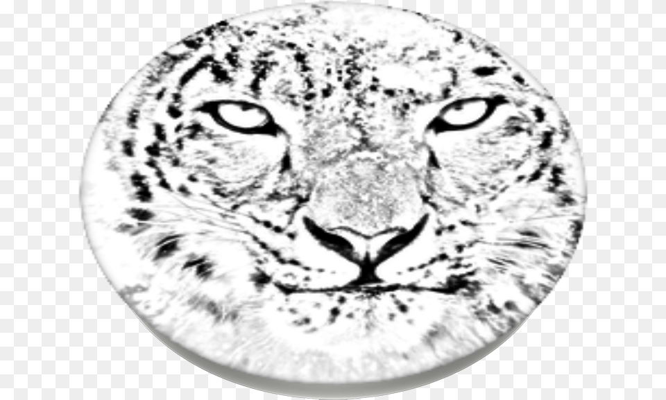 Snow Leopard Popsockets Mac Os X Snow Leopard, Animal, Panther, Wildlife, Mammal Free Png Download