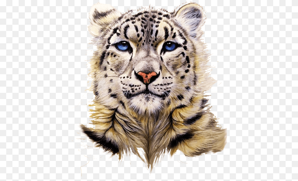 Snow Leopard Tiger Clouded Snow Leopard Avatar, Animal, Mammal, Wildlife, Panther Free Transparent Png