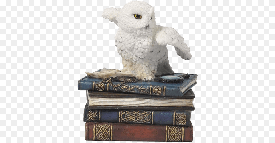 Snow Owl Flapping Wings On Books Trinket Box Veron 5quot Snow Owl W Books Statue Trinket Box Wild, Book, Publication, Animal, Bird Free Png Download