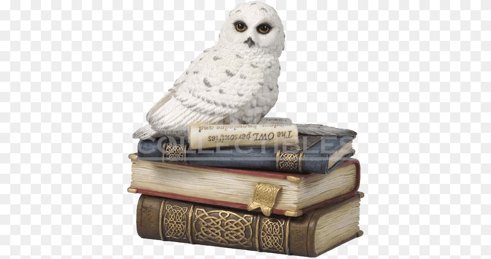 Snow Owl On Books Trinket Box Snow Owl On Books Trinket Box By Veronese, Book, Publication, Animal, Bird Free Png Download