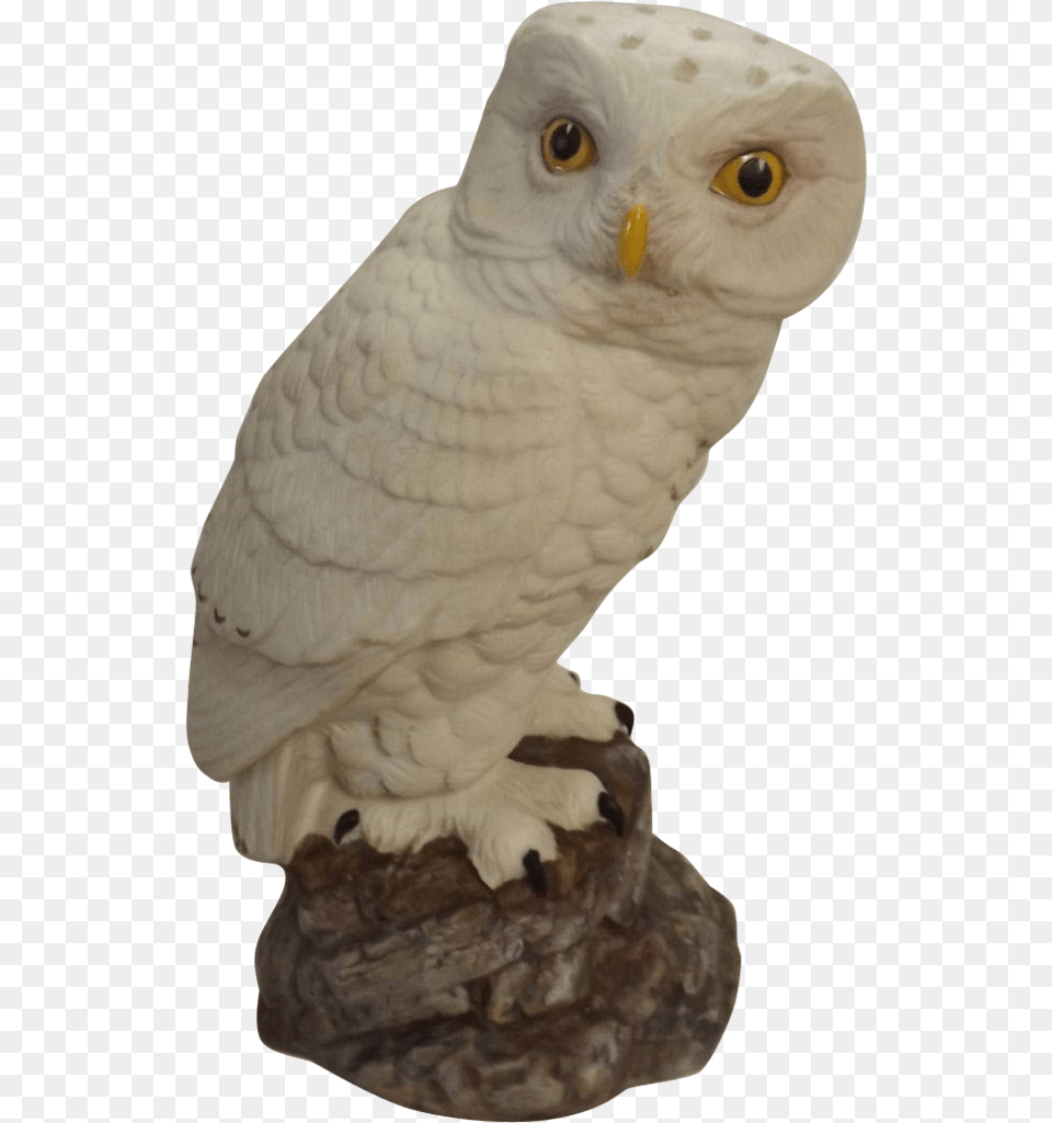 Snow Owl Porcelain Snowy Owl Snowy Owl, Animal, Bird Png