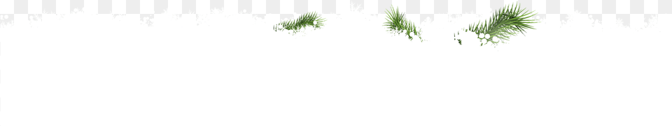 Snow Painting, Grass, Plant, Tree, Reed Free Png Download