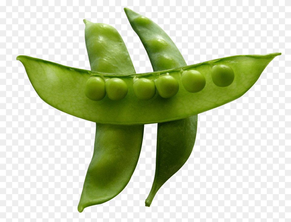 Snow Peas, Food, Pea, Plant, Produce Png Image