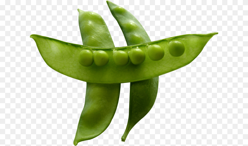 Snow Peas Snow Pea, Food, Plant, Produce, Vegetable Png