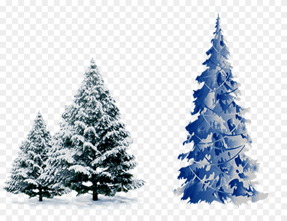 Snow Pine Blue Christmas Tree Vector Transparent Snow Christmas Tree, Fir, Plant, Architecture, Building Png