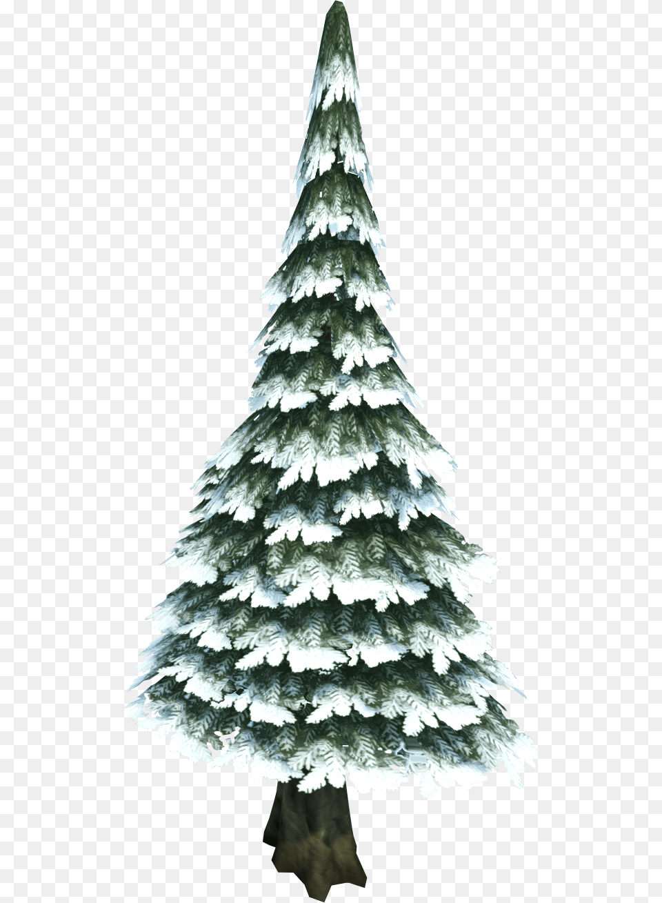 Snow Pine Tree, Fir, Plant, Christmas, Christmas Decorations Png
