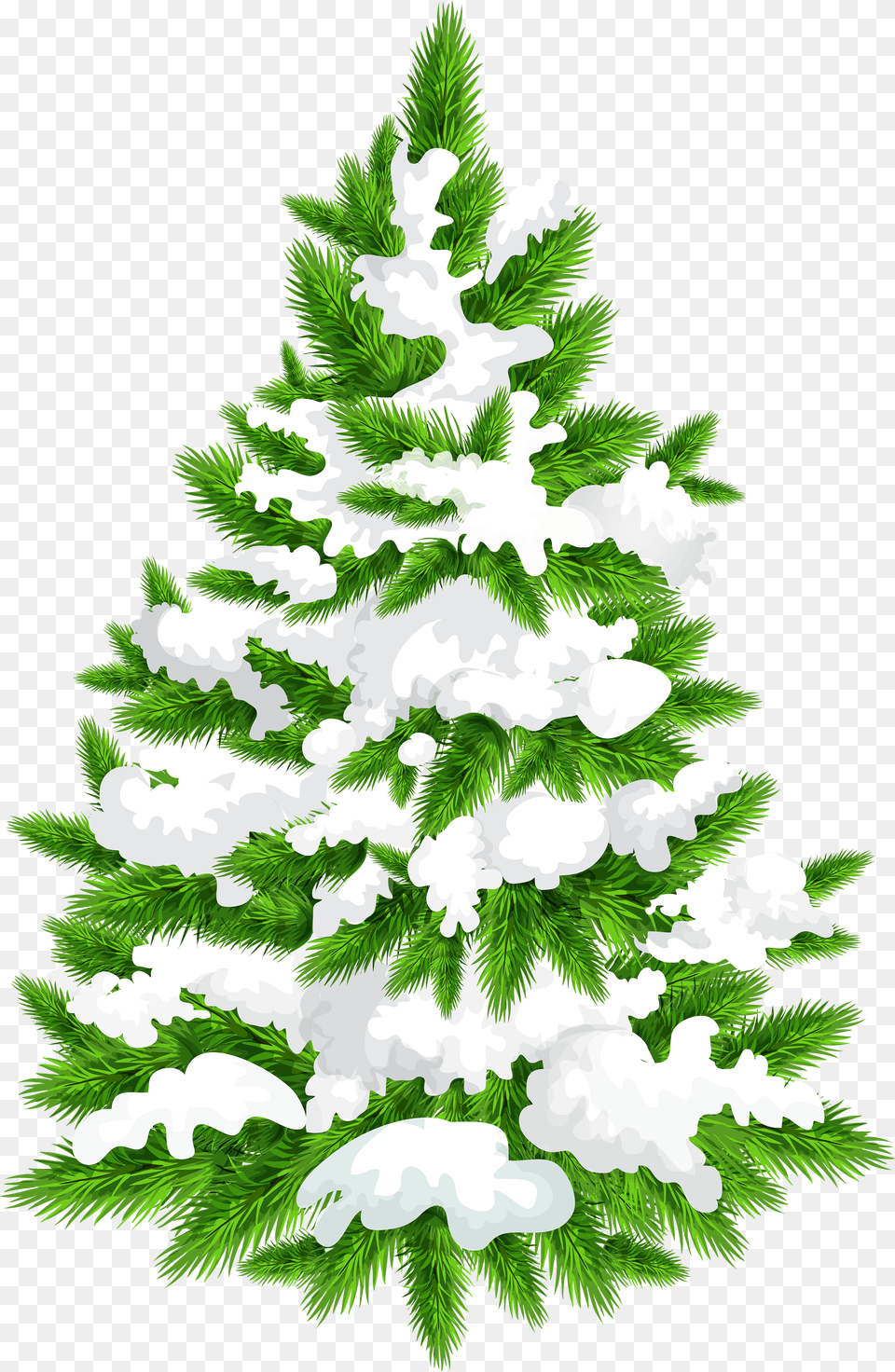 Snow Pine Tree Hd Christmas Snow Tree Free Png
