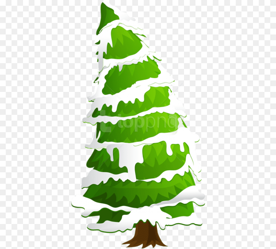 Snow Pine Tree Portable Network Graphics, Plant, Fir, Green, Christmas Free Png Download